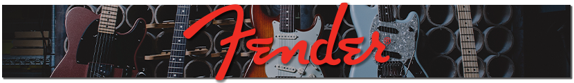 Fender Musical Instruments - The Sprit of Rock & Roll