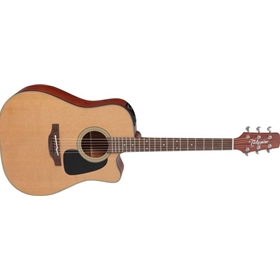 Takamine Dreadnought C/A Solid Cedar Top / Sapele Back & Sides