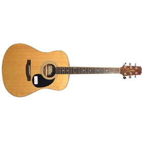 Segovia D07GN Acoustic Guitar, Dreadnought Body with solid top