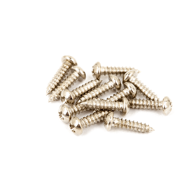 Pure Vintage Tuning Machine Mounting Screws, Nickel-Plated, (12)