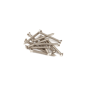 Pure Vintage Slotted Telecaster® Neck Mounting Screws, Nickel (12)