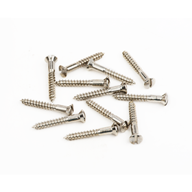 Pure Vintage Slotted Telecaster® Bridge/Strap Button Mounting Screws, Nickel (12)