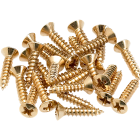 Pickguard/Control Plate Mounting Screws (24) (Gold)