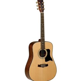 Tanglewood TW15DLX Acoustic Guitar