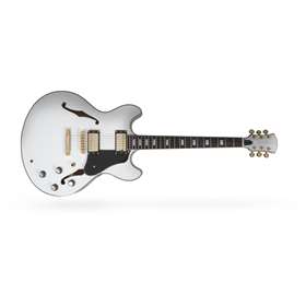 Larry Carlton Acoust White