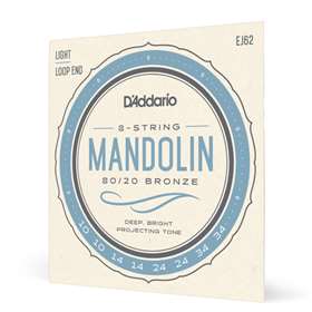 SET MANDOLIN 80/20 BRONZE LITE