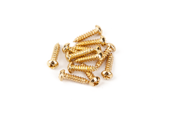 Pure Vintage Tuning Machine Mounting Screws, Gold, (12)