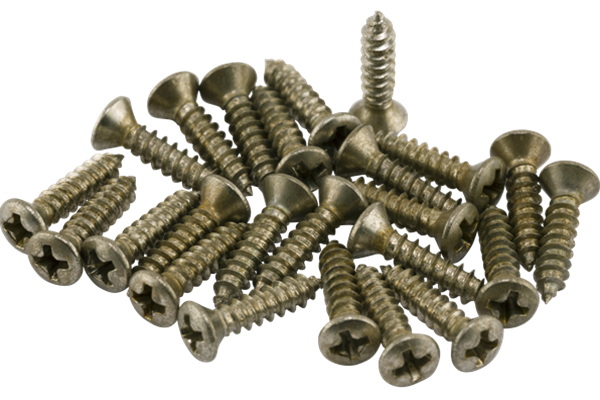 Road Worn® Pickguard/Control Plate Screws (24)