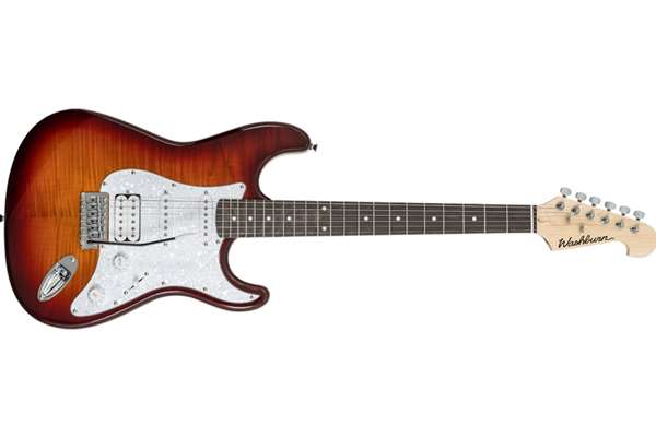 Sonamaster Deluxe Flame Maple Top Electric Guitar, Sunburst