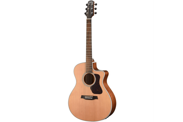 Walden Natura 700 Grand Auditorium Acoustic w/ Solid Cedar Top