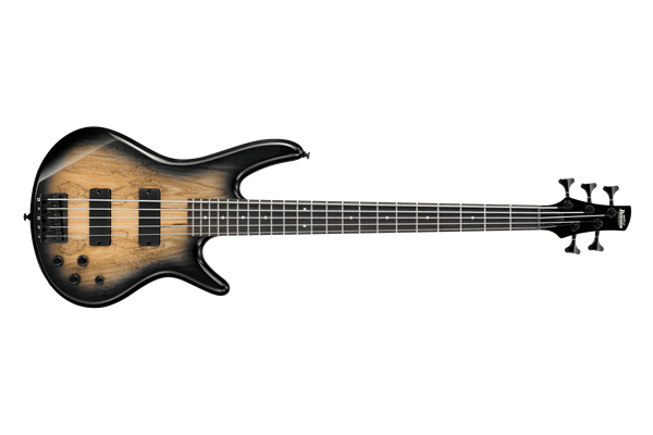 Gio SR 5str Electric Bass - Natural Gray Burst