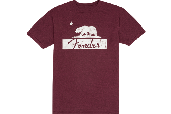 100 Acoustic Lessons - Guitar Lesson Goldmine Series