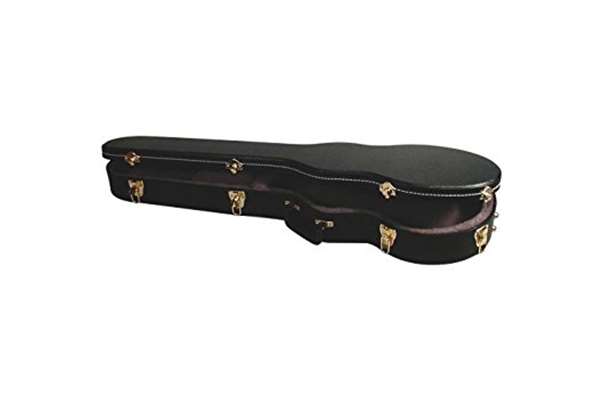 Les Paul Hardshell Case