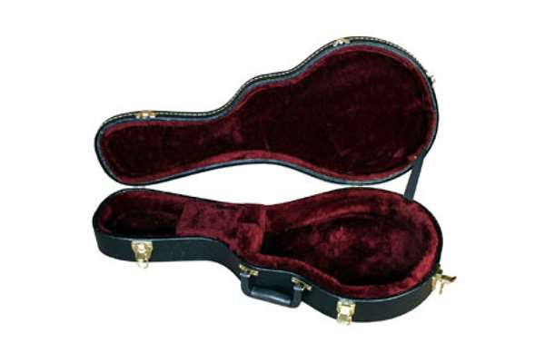 Archtop Plush Mandolin Case