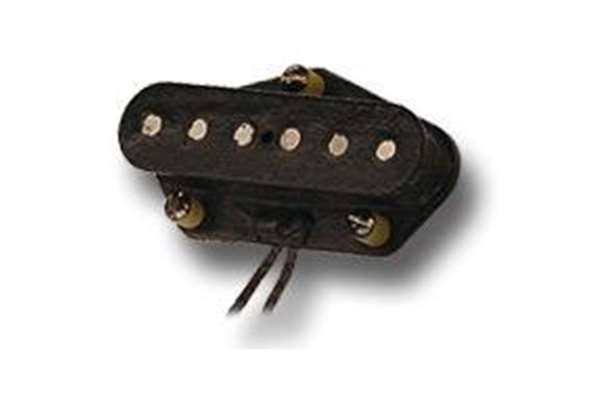 Antq for '55 Telecaster Neck